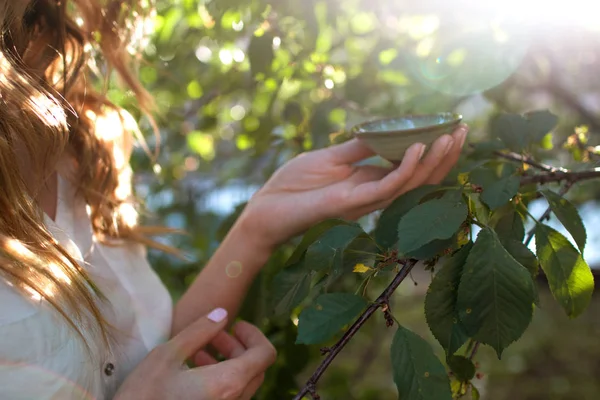 Çay fincan sıcak tutan kadın. Bir fincan sıcak çay tutan eller