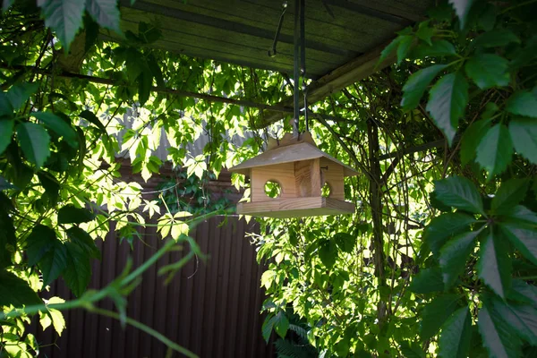 Alimentatori Uccelli Nel Parco Cittadino — Foto Stock