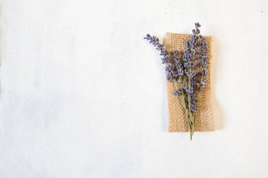 Lavanta çiçek ışık artalanları üzerinde saman Las Vegas