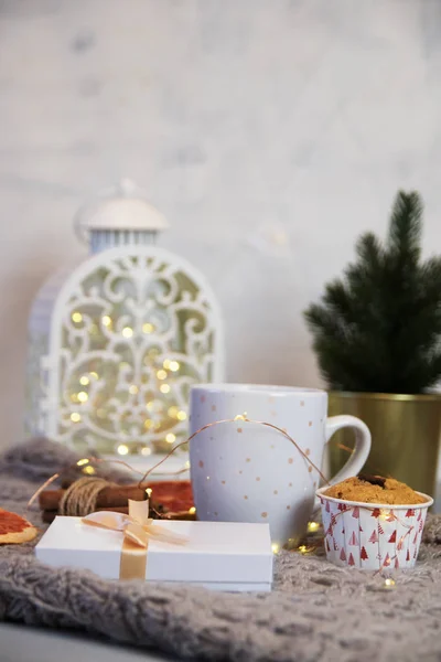 Winter Still Life Scarf White Mug Cocoa Coffee Hot Chocolate — Stock Photo, Image