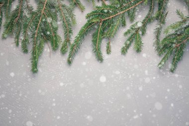 Yılbaşı Ağacı Çam dalları açık arkaplanda.