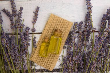 lavanta yağı taze çiçek bir arka cam şişede. Yatay yakın çekim
