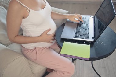 Dizüstü bilgisayarda çalışan genç güzel hamile kadın. Hamile iş kadını bilgi ve online alışveriş dizüstü bilgisayarda arama Doğum ve ebeveynlik evde kanepe için hazırlayın