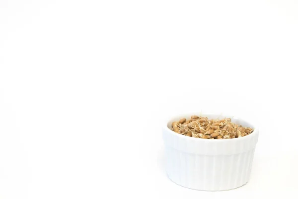 Sprouted wheat on a light background. toned — Stock Photo, Image