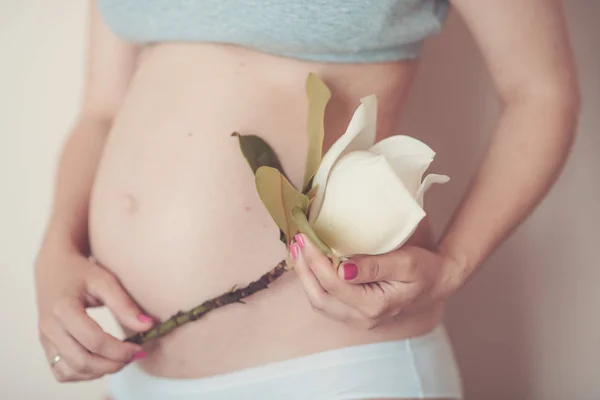 Close up de mulher grávida nas mãos segurando a primavera com flores de magnólia . — Fotografia de Stock