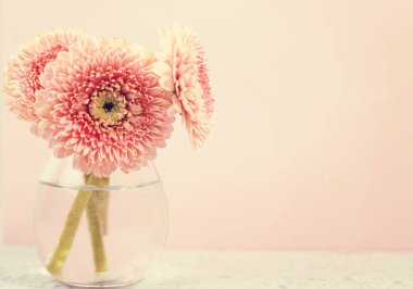 Bir vazo Mavi Pastel masada güzel bahar pembe çiçekler. Çiçek sınırı.