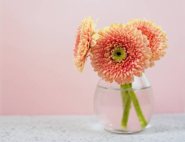 Bir vazo Mavi Pastel masada güzel bahar pembe çiçekler. Çiçek sınırı.