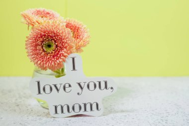 Bir vazo Mavi Pastel masada güzel bahar pembe çiçekler. Çiçek sınırı.