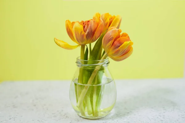 Ряд тюльпанів у вазі по coloful фону з простором для повідомлення. Тло дня матері. — стокове фото