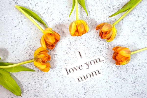 Fila de tulipanes sobre fondo coloful con espacio para el mensaje. Fondo del Día de las Madres. Vista superior —  Fotos de Stock