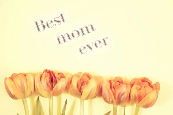 Row of tulips on coloful background with space for message. Mothers Day background. Top view — Stock Photo, Image