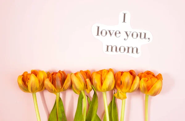Ряд тюльпанів на тлі coloful з простором для повідомлення. День матері фону. Вид зверху — стокове фото