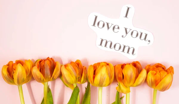 Fila de tulipas em fundo colorido com espaço para mensagem. Fundo do Dia das Mães. Vista superior — Fotografia de Stock
