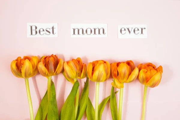 Row of tulips on coloful background with space for message. Mothers Day background. Top view — Stock Photo, Image