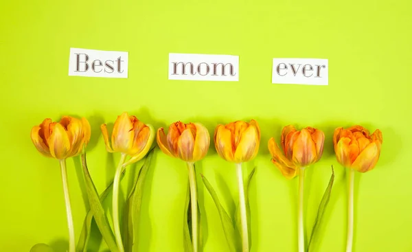 Rangée de tulipes sur fond coloré avec espace pour le message. Contexte de la fête des mères. Vue du dessus — Photo