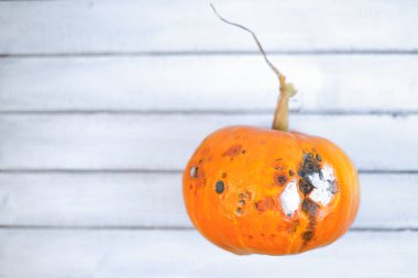 Rot üzerinde beyaz tahta arka plan ile kabak çirkin