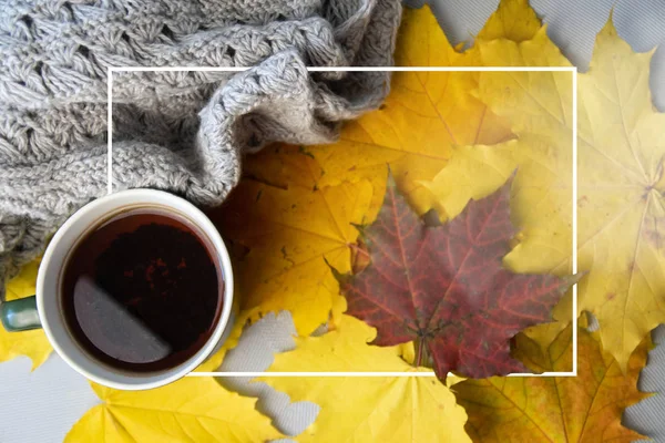 秋天的叶子，一杯咖啡，温暖的围巾在桌子上。季节性，读书，周日放松和静静的生活概念。选择性聚焦. 图库图片