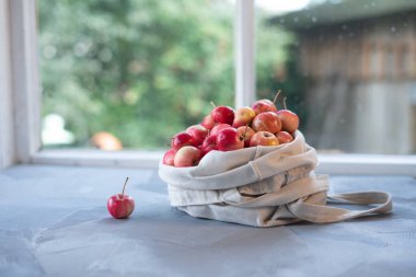 Pamuk Torbalı Elmalar, Sıfır Atık Konsepti, Çevre Dostu Alışveriş Çantası