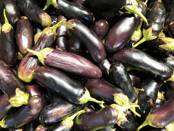 Bir grup çirkin patlıcan bir dükkanda yatıyor. Çirkin Patlıcan Arka Plan