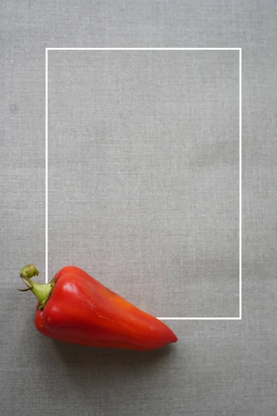 Módní pepř z organického červeného zvonku se skvrnami na šedém pozadí s bílým rámečkem. — Stock fotografie