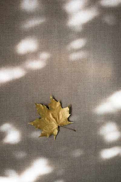 Güzel gölgeler ile keten arka plan üzerinde Altın akçaağaç yaprağı — Stok fotoğraf