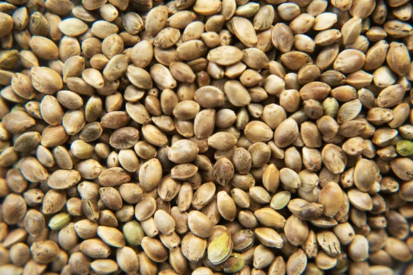 Organik kurutulmuş kenevir tohumlarının arka planı