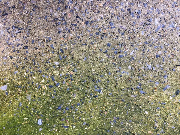 明亮的绿色苔藓生长在粗糙的纹理老和风化混凝土地面潮湿的水滴水 — 图库照片