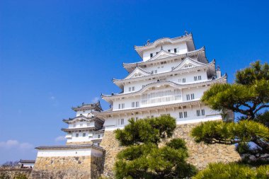 Japonya 'nın Hyogo ilinde, Himeji Kalesi' nde, sakura çiçeği zamanı çiçek açacak.