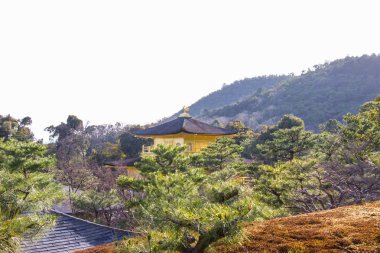 Altın Köşk Kinkaku-ji Tapınağı biri Kyoto en ünlü Tapınağı nın güzel mimarisi. Japonya.