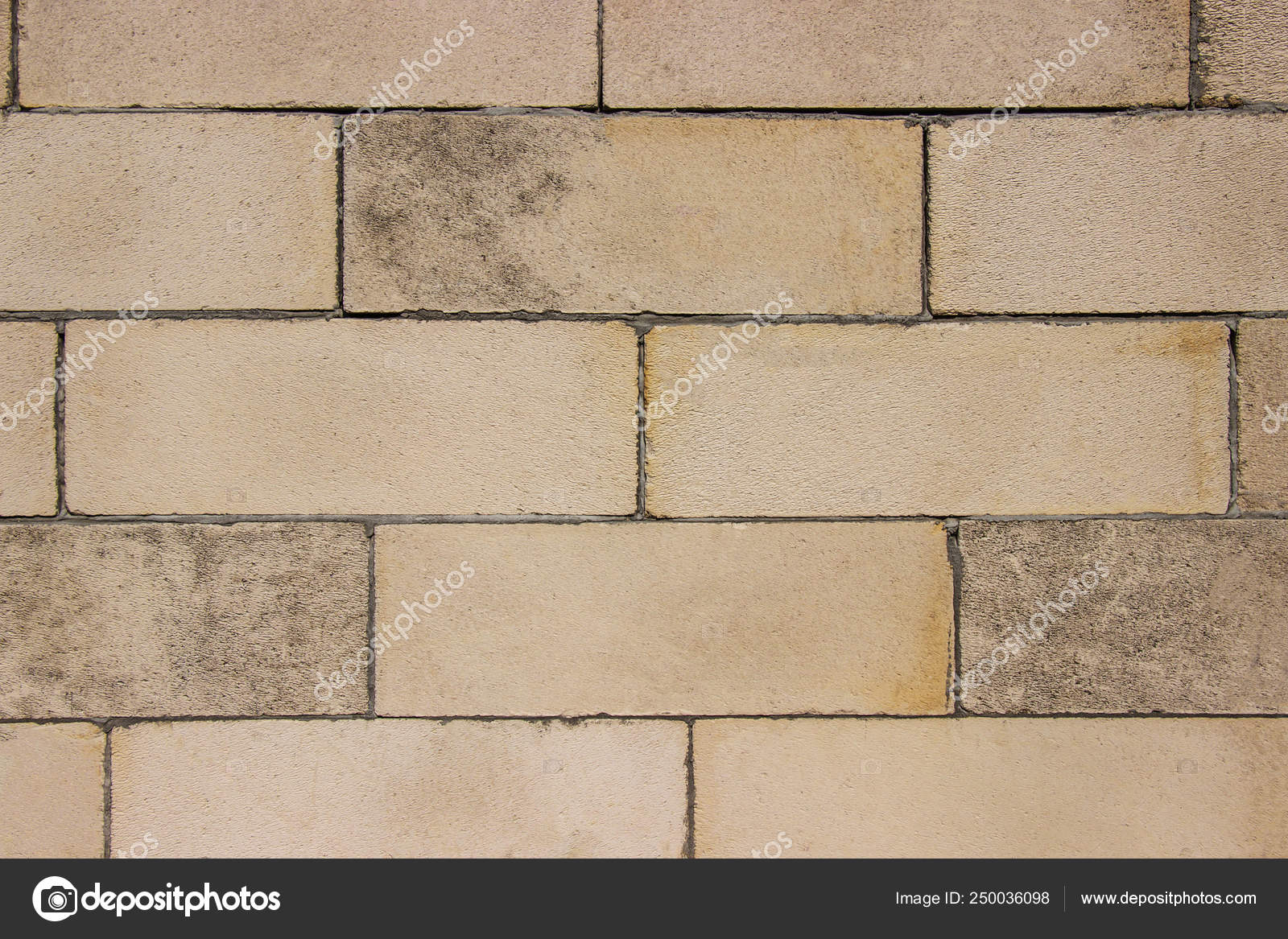 Fondo Para La Decoracion De Diseno Interior Y Exterior Del