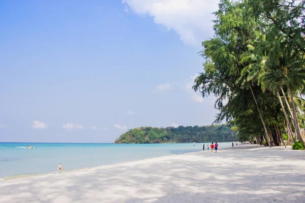 Paseo turístico ver el panorama de la playa de arena blanca con palmeras de coco tomadas en haad Klong Chao en la isla tropical de Koh Kood en Trat, Tailandia . — Foto de Stock