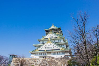 Osaka kale açık bir günde gökyüzü parlak sırasında sakura çiçek zaman çiçek olacak, Japonya.