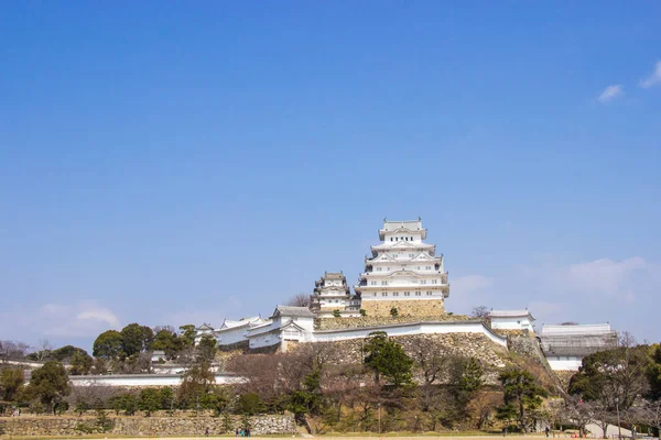 Kiraz çiçeği süre boyunca Himeji Kalesi Hyōgo ili, Japonya çiçek için gidiyoruz. — Stok fotoğraf