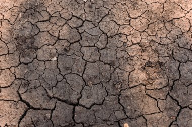 çatlaklar dünyada uzun bir kuraklık sonuçları vardır