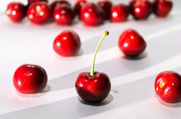 Primer Plano Las Bayas Cereza Maduras — Foto de Stock