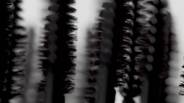 Maskara Fırçalar Makro Birçok Brashes Hareketli Beyaz — Stok video