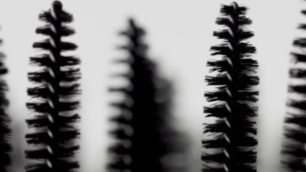 Brosses de mascara macro sur blanc — Video