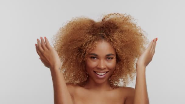 Mixed Race Woman With Big Curly Afro Blonde Hair In Studio Stock