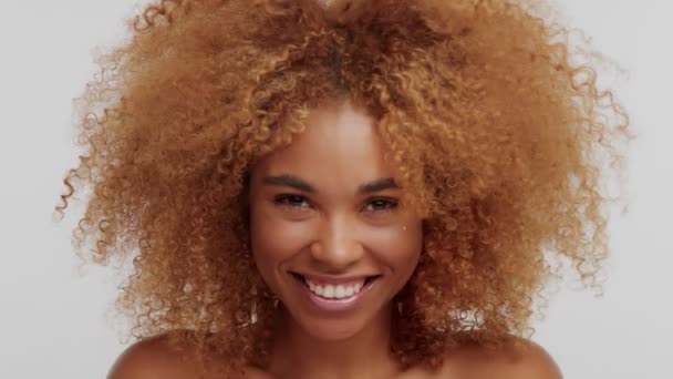 Mixte race femme avec grand bouclé afro blonde cheveux en studio — Video