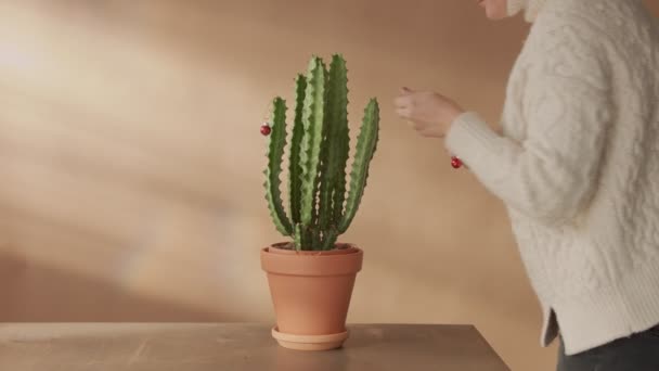 Frau schmückt Catcus wie einen Weihnachtsbaum — Stockvideo