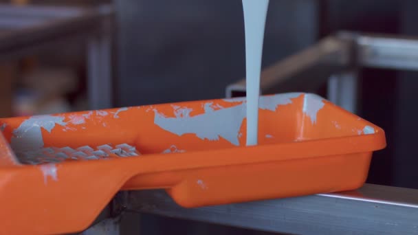 특별 한 페인트 그릇에 붓는 페인트 — 비디오