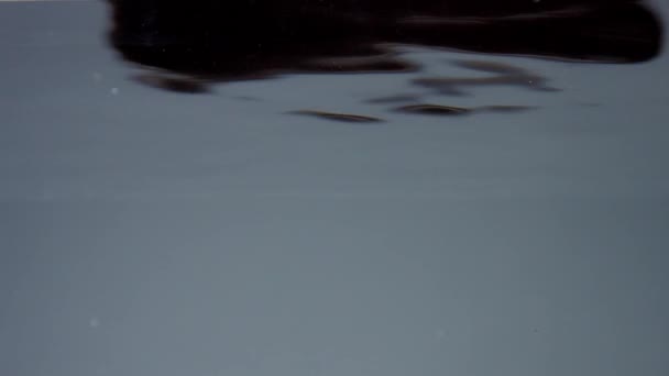 Womans hand immerse into the clear water to take som water. Underwater view — Stock Video