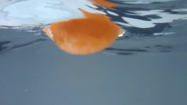 Uma laranja caindo na água, vista subaquática — Vídeo de Stock