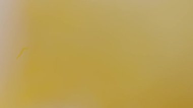 Üst manzara bir takvim kuru çiçekler düşüyor ve kırılıyor