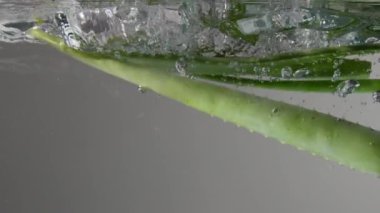 Su ile şeffaf akvaryuma düşen aloe yapraklarının sualtı görüntüsü 