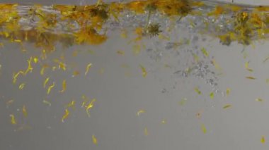 Dişilerin elleri kurumuş çiçek ve yapraklarla dolu suya dalıyor.