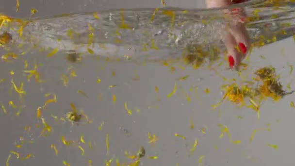 vue sous-marine de la main femelle mélangeant fleurs jaunes sèches et feuilles dans l'eau