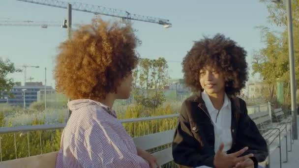 Schwarze Frauen mit gemischter Rasse reden im Park und die Kamera bewegt sich herum und zoomt dann heraus — Stockvideo