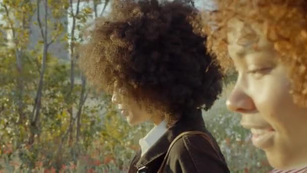 Närbild sida efter porträtt av två blandade ras svart kvinna promenader i parken — Stockvideo
