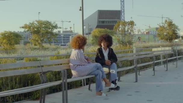 Un par de mujeres negras de raza mixta en el parque sentadas y hablando — Vídeo de stock